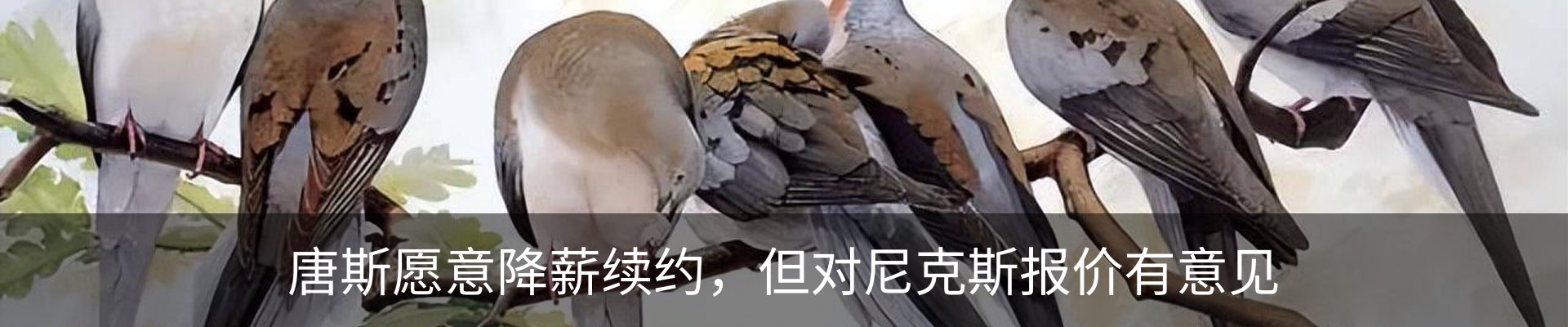 行业资讯